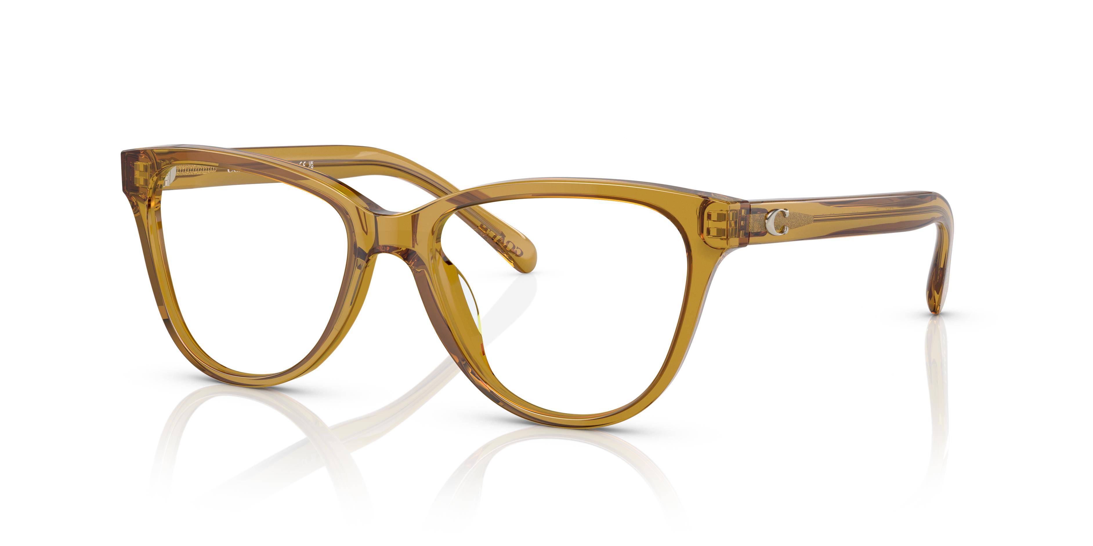 Picture of Coach Eyeglasses HC6202U