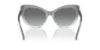 Picture of Swarovski Sunglasses SK6020