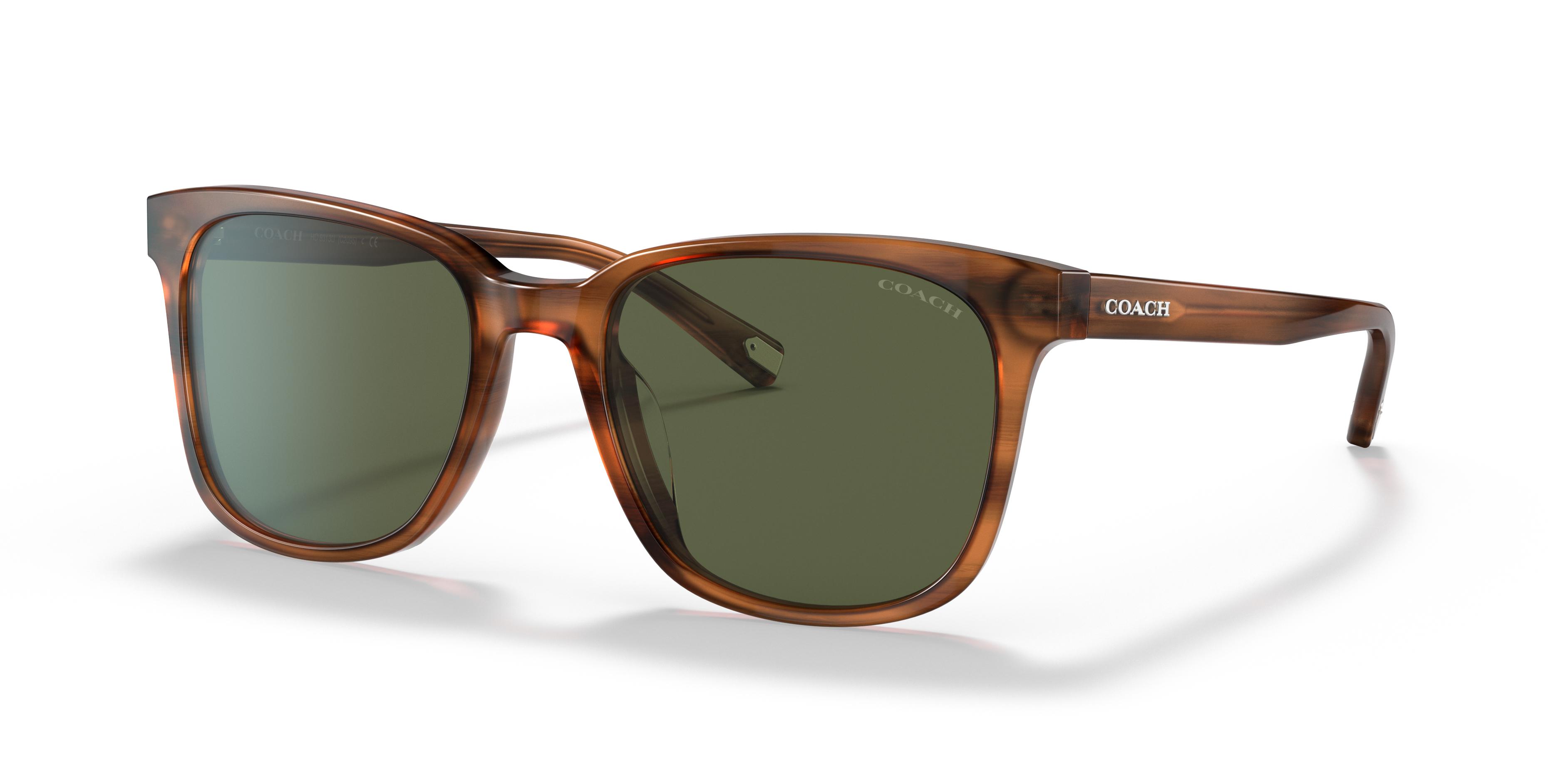 Picture of Coach Sunglasses HC8313U