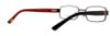 Picture of Polo Eyeglasses PP8025