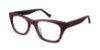 Picture of Betsey Johnson Eyeglasses BREADWINNER