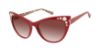 Picture of Betsey Johnson Sunglasses TOP IT OFF