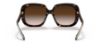 Picture of Coach Sunglasses HC8323U