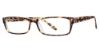 Picture of Big Mens Eyewear Club Eyeglasses BIG Abe