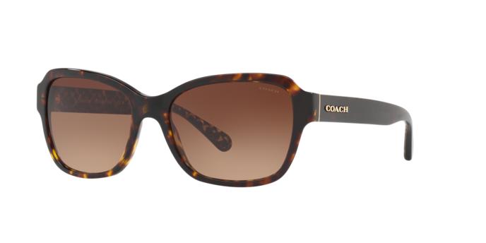 Picture of Coach Sunglasses HC8232