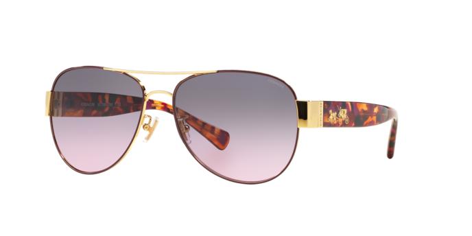 Picture of Coach Sunglasses HC7059 L138