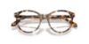 Picture of Giorgio Armani Eyeglasses AR7279