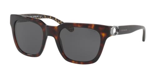 Picture of Coach Sunglasses HC8240F
