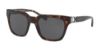 Picture of Coach Sunglasses HC8240F